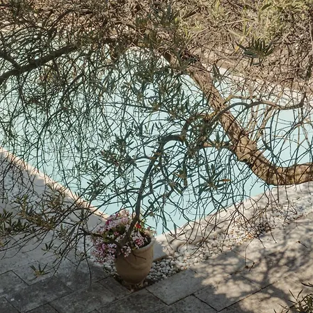 Logis Les Magnanarelles Hotel